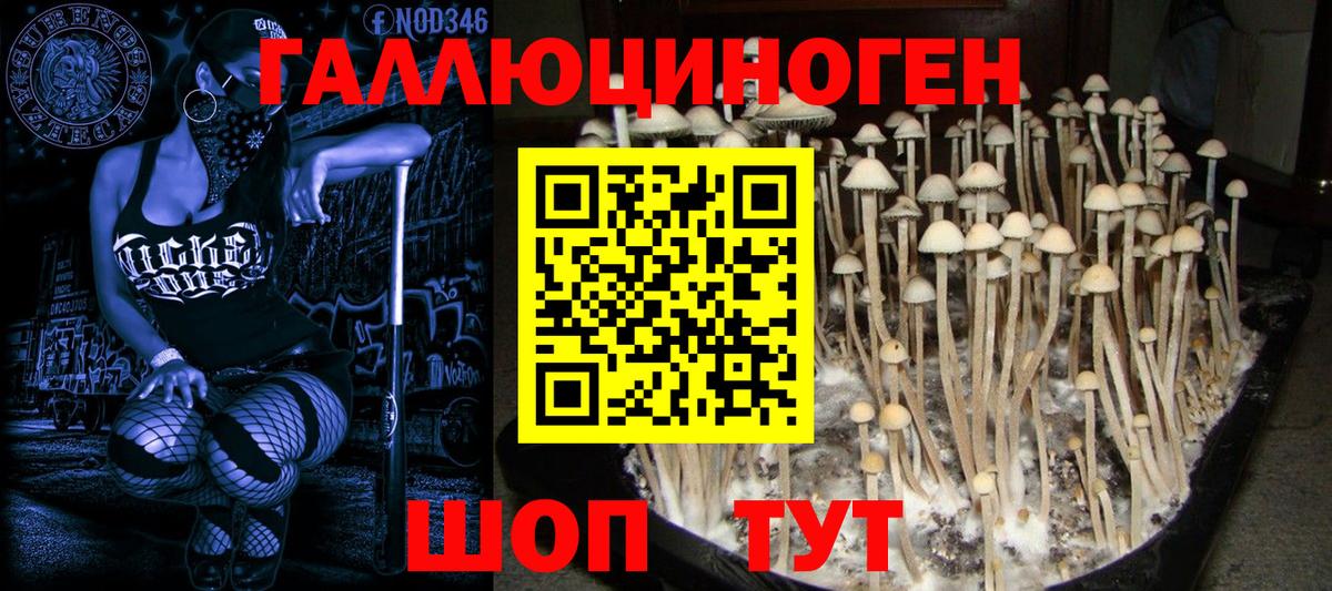 Галлюциногенные грибы мицелий  Вход с VPN  Невинномысск 